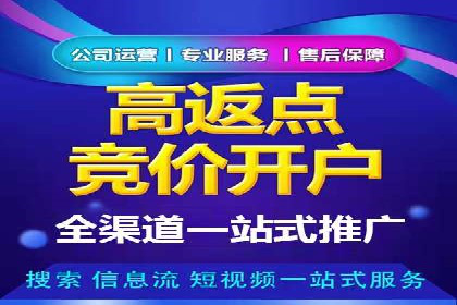 行业领先的SEM竞价广告投放案例
